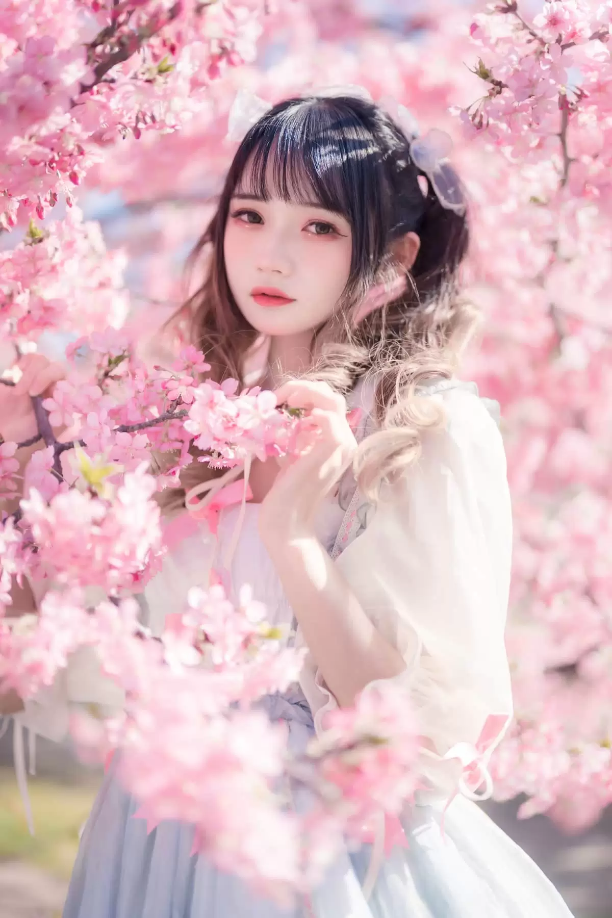 兔子Zzz不吃胡萝卜 – 美女COS写真合集 161套 40G