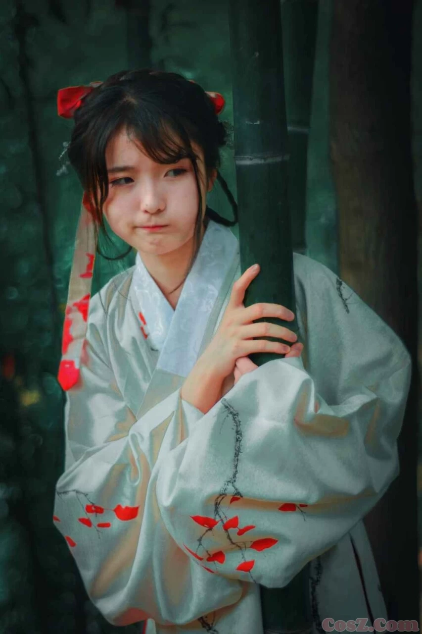 山有木兮木有枝 心悦君兮君不知