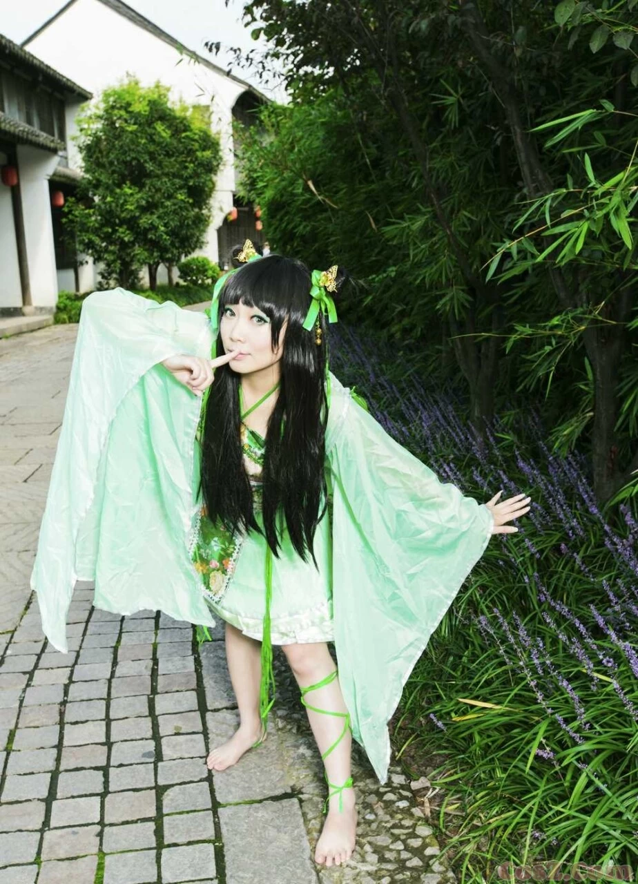 霹雳布袋戏骨箫范凄凉