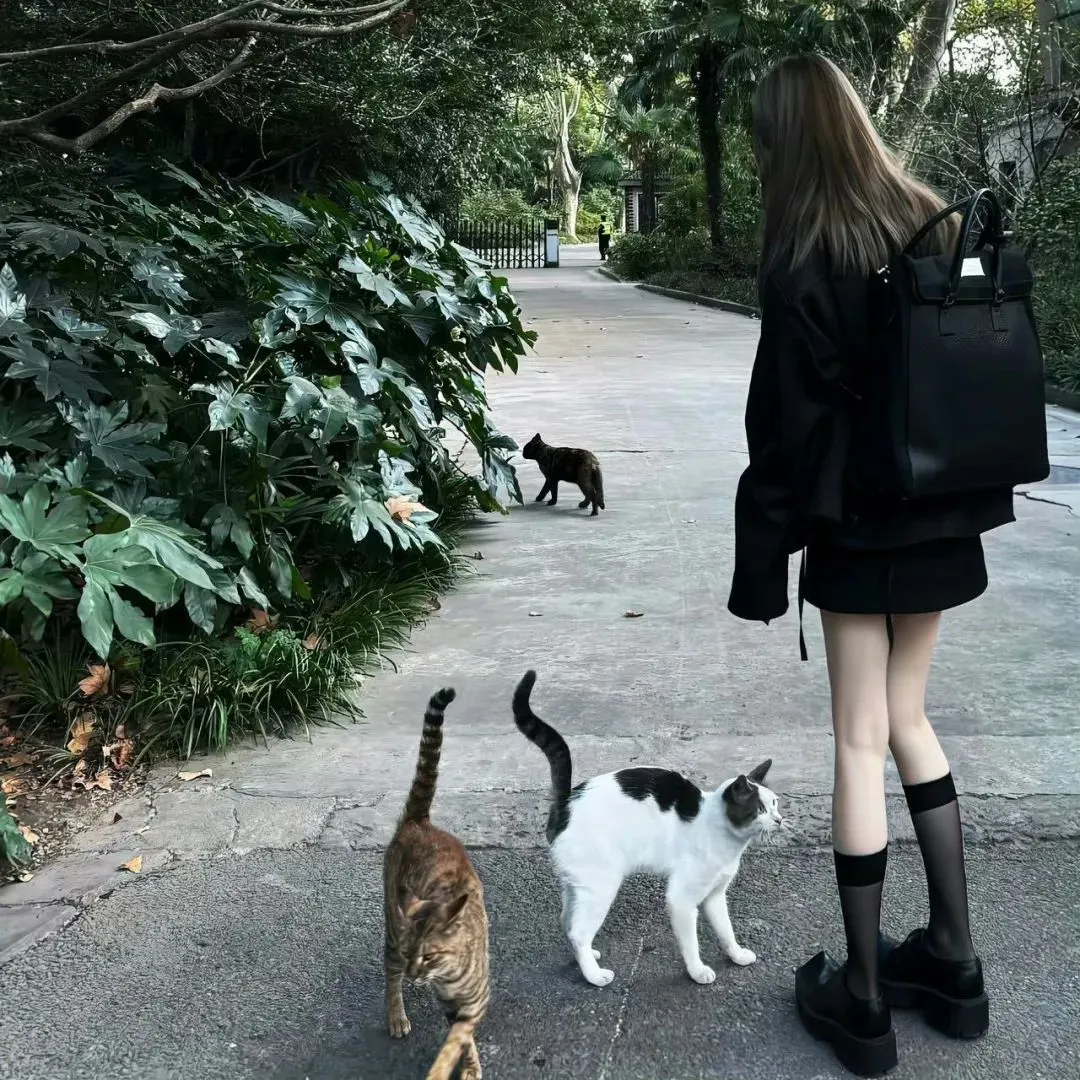 这种风格的头像太喜欢了