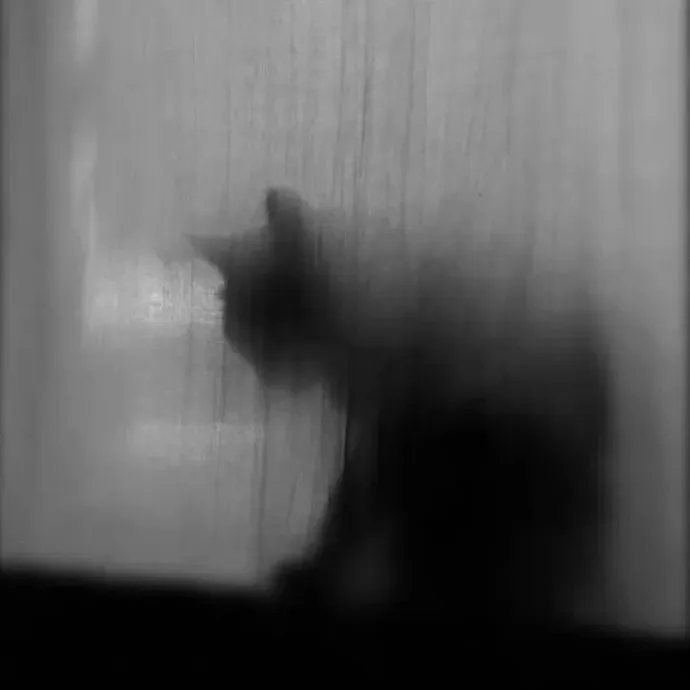 搞怪可爱头像存一下◞​​​