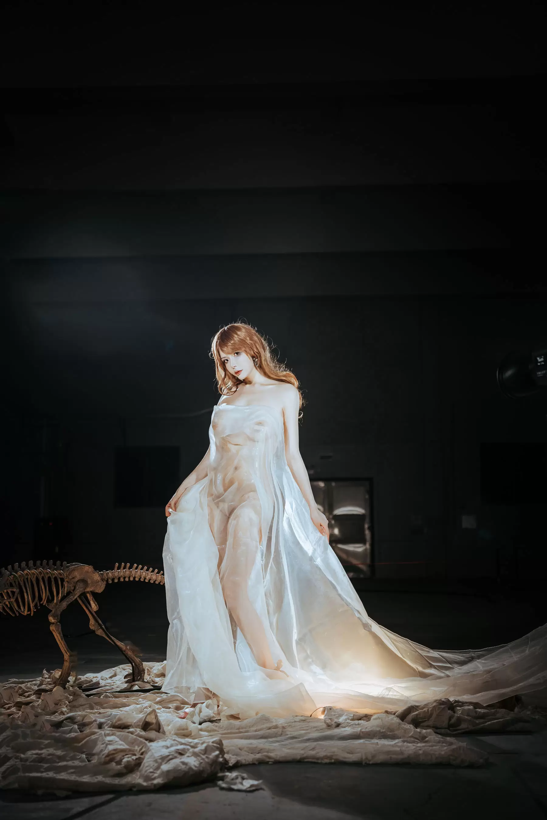 秋和柯基(夏小秋秋秋) – 纱 [66P] - 秀人网免费无水印在线套图写真