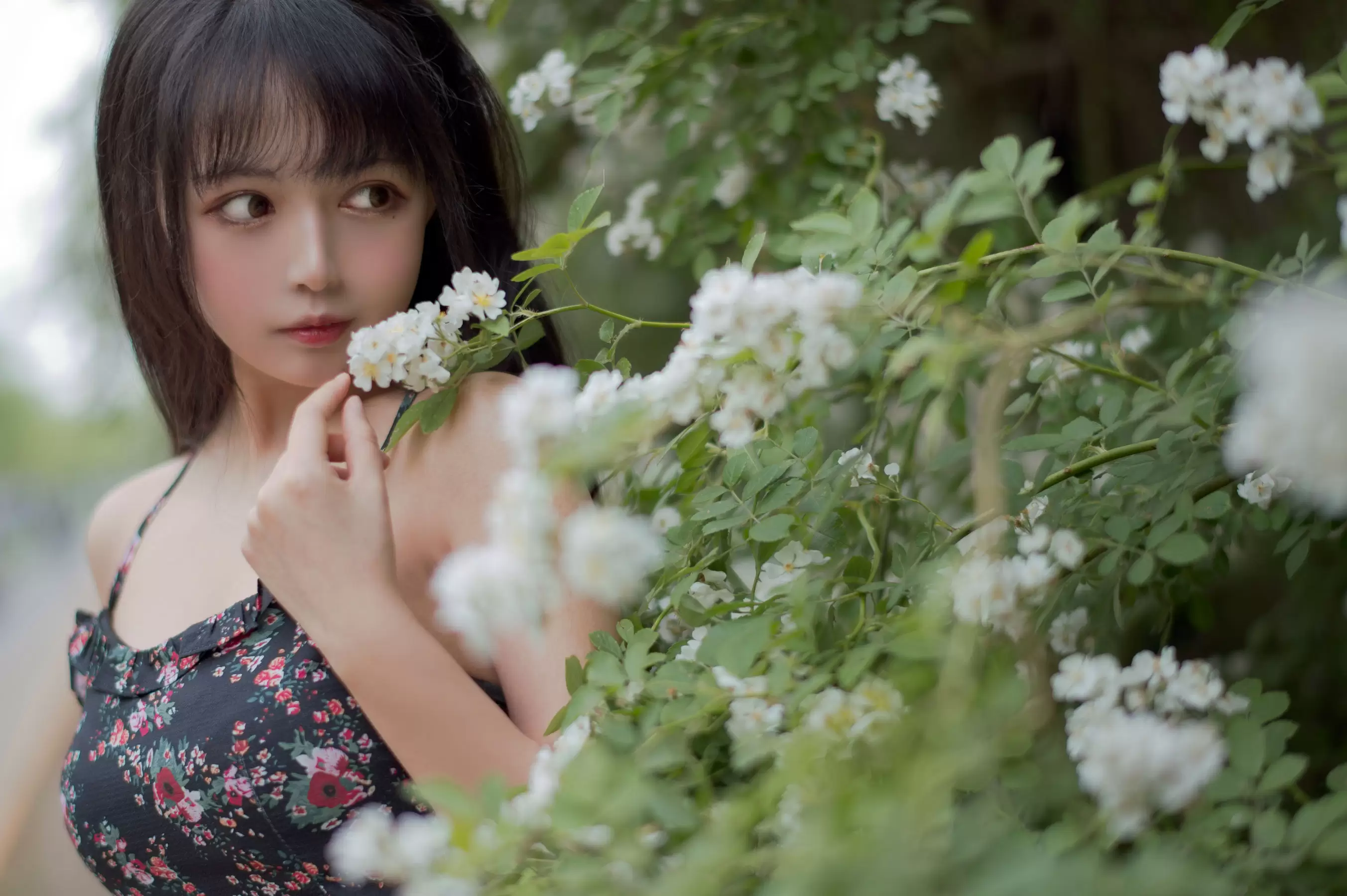 大眼萌妹黑猫猫OvO – 蔷薇1 [22P] - 秀人网免费无水印在线套图写真