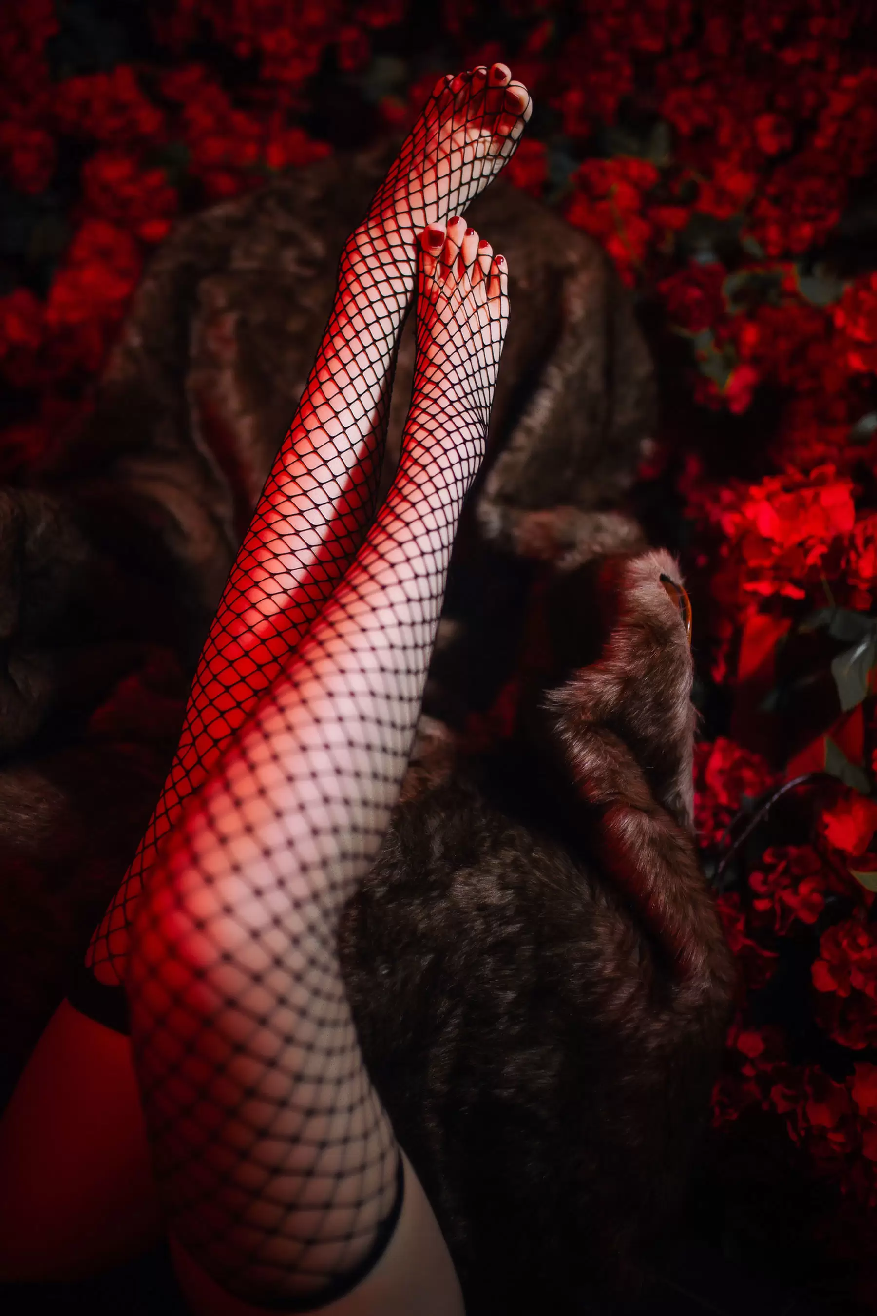 高颜值coser念念_D – 半人马旗袍 [22P] - 秀人网免费无水印在线套图写真