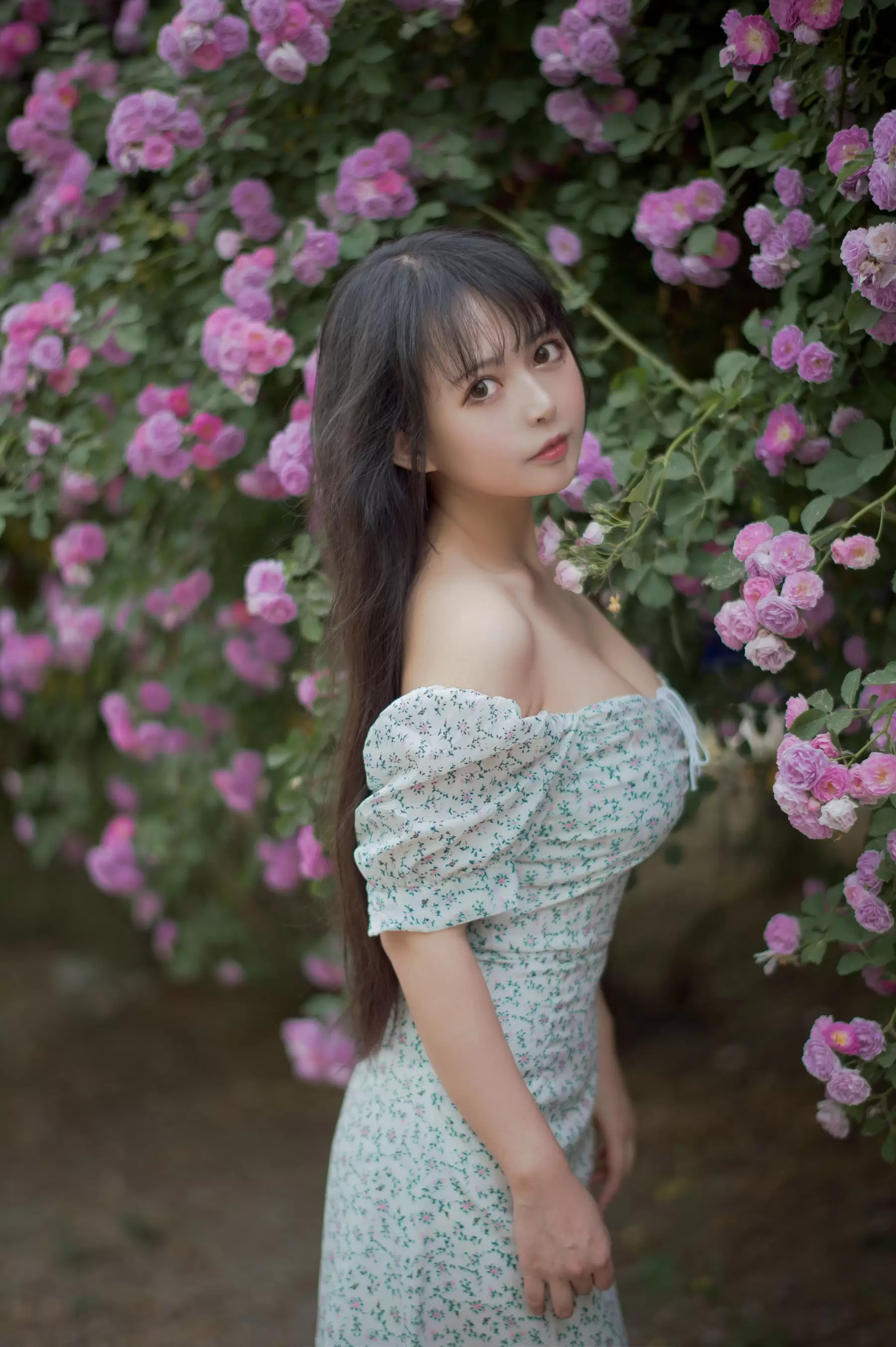 大眼萌妹黑猫猫OvO – 蔷薇2 [27P] - 秀人网免费无水印在线套图写真