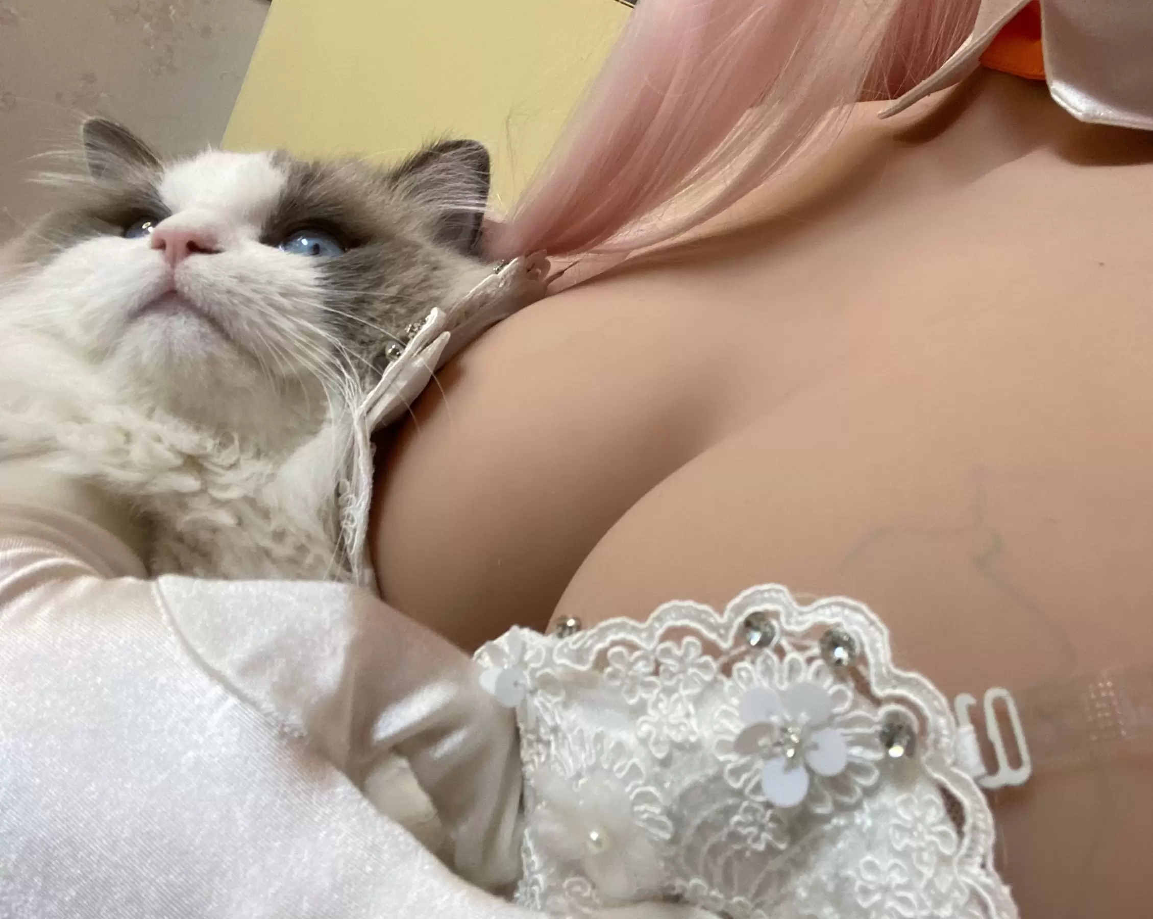 起司块wii – 自拍1 [40P] - 秀人网免费无水印在线套图写真