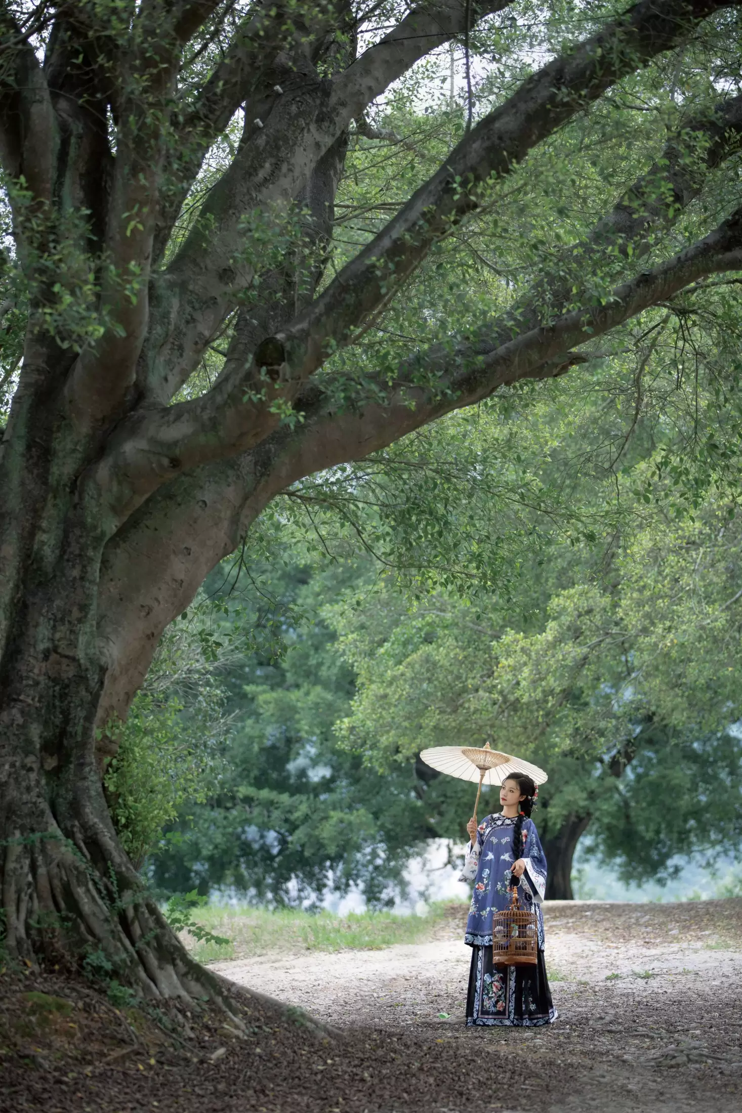 欣欣 – 《清冷几千春》[37P] - 秀人网免费无水印在线套图写真