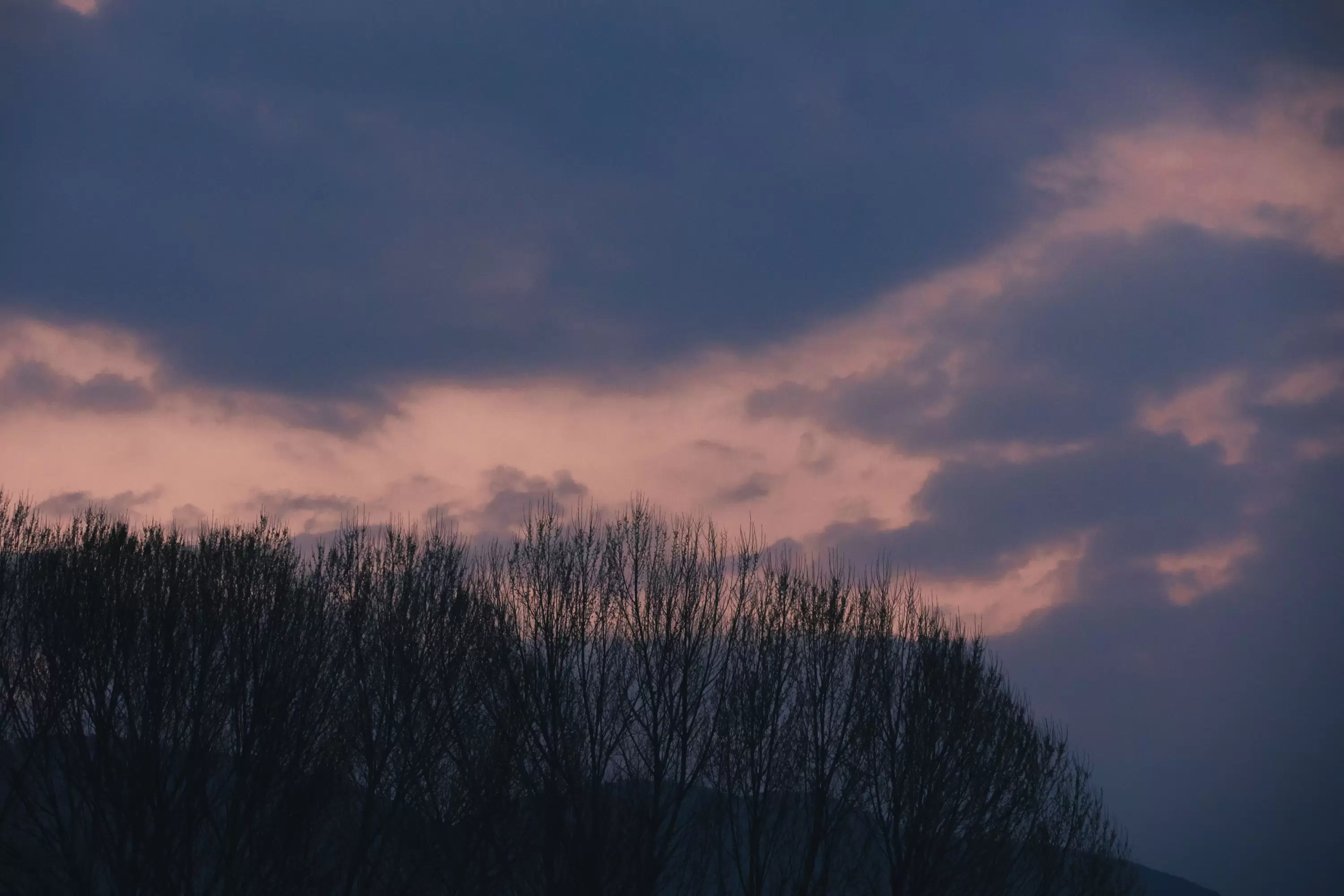 晚江亭 – 《香雾》[42P] - 秀人网免费无水印在线套图写真