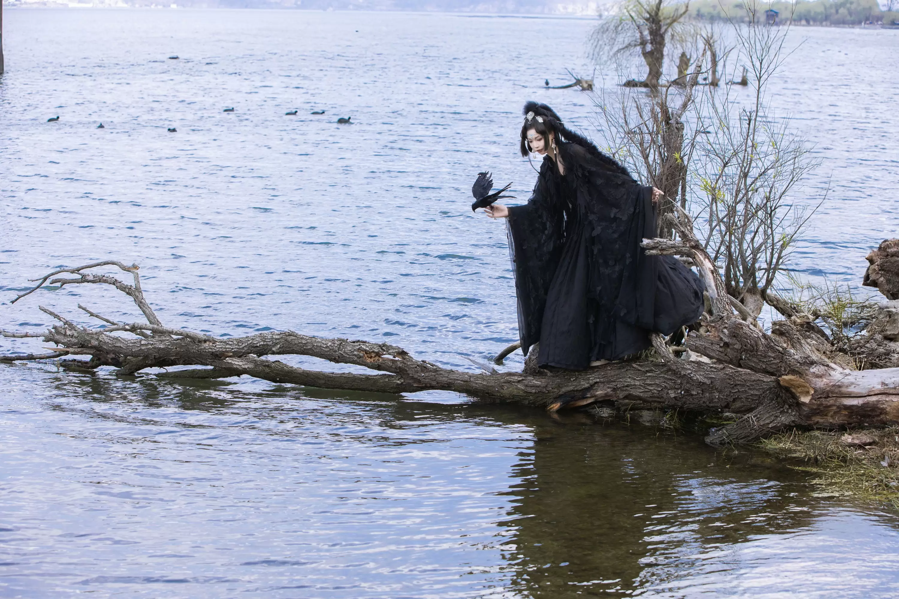 薛薛 – 《乌鸦拟人》[35P] - 秀人网免费无水印在线套图写真