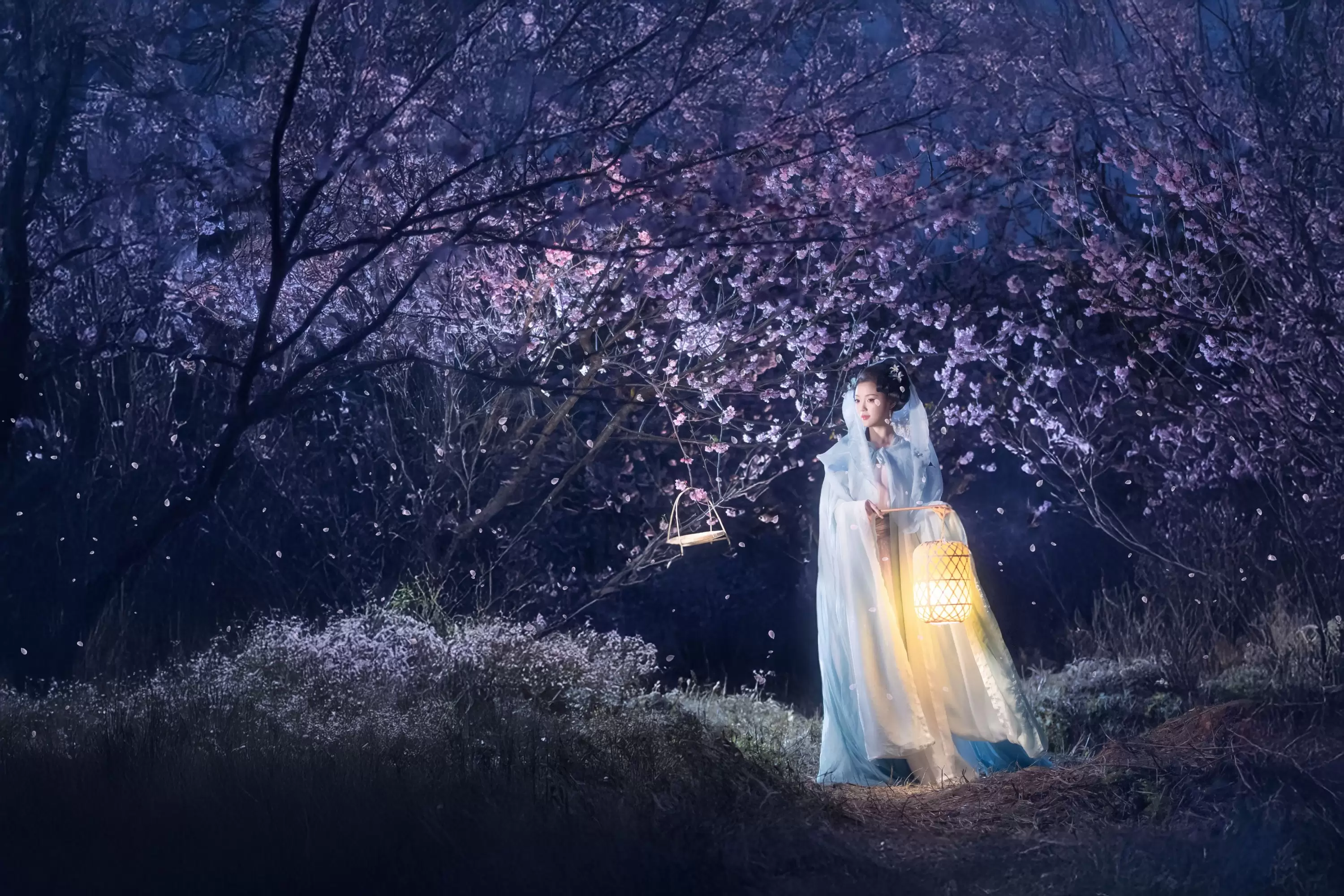 七霓巳猫- – 《梦遣看花人》[34P] - 秀人网免费无水印在线套图写真