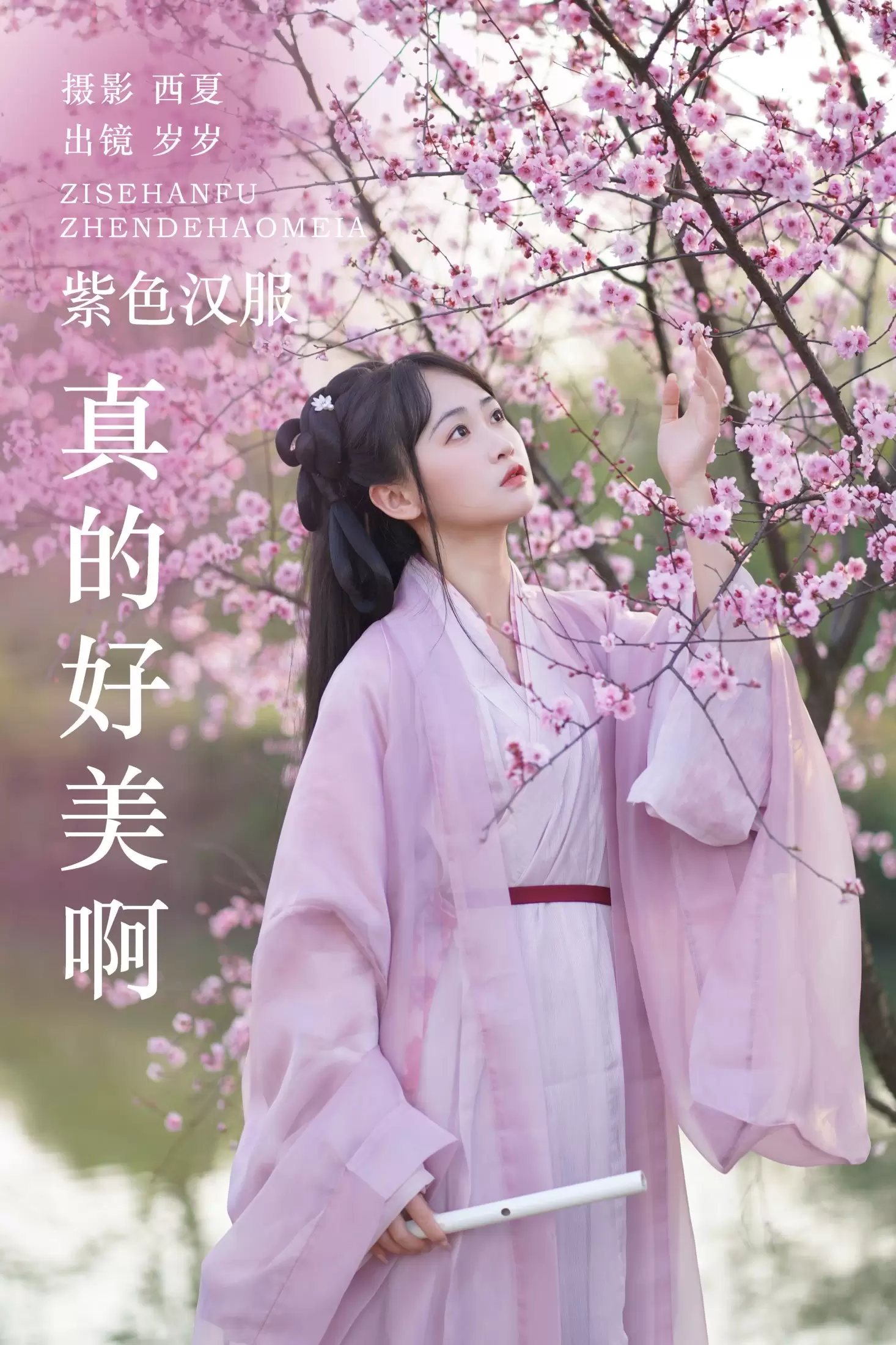 湫一只岁岁 – 《紫色汉服真的好美啊》[26P] - 秀人网免费无水印在线套图写真