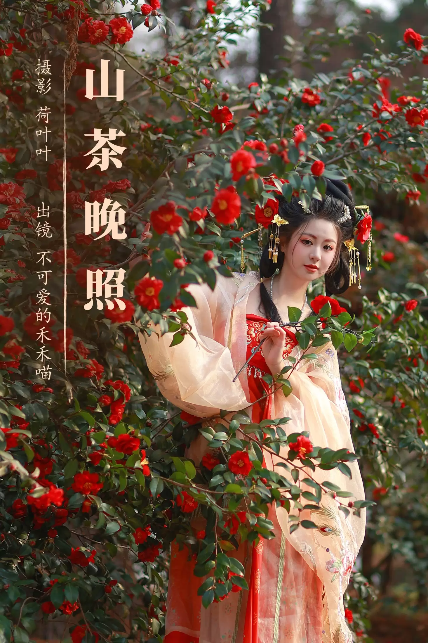 不可爱的禾禾喵 – 《山茶晚照》[27P] - 秀人网免费无水印在线套图写真