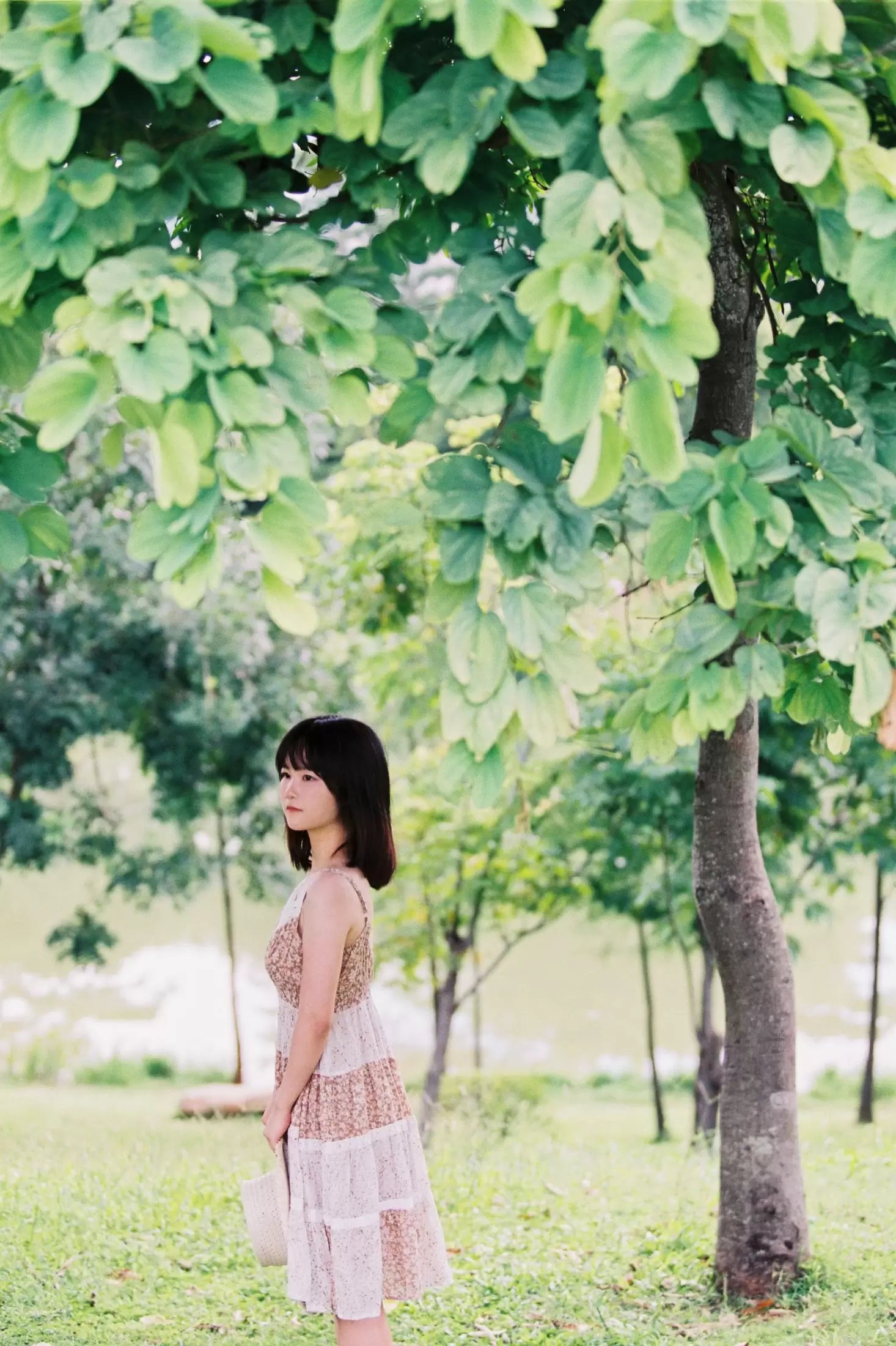 四月岛雯 – 《夏天的草地》[30P] - 秀人网免费无水印在线套图写真