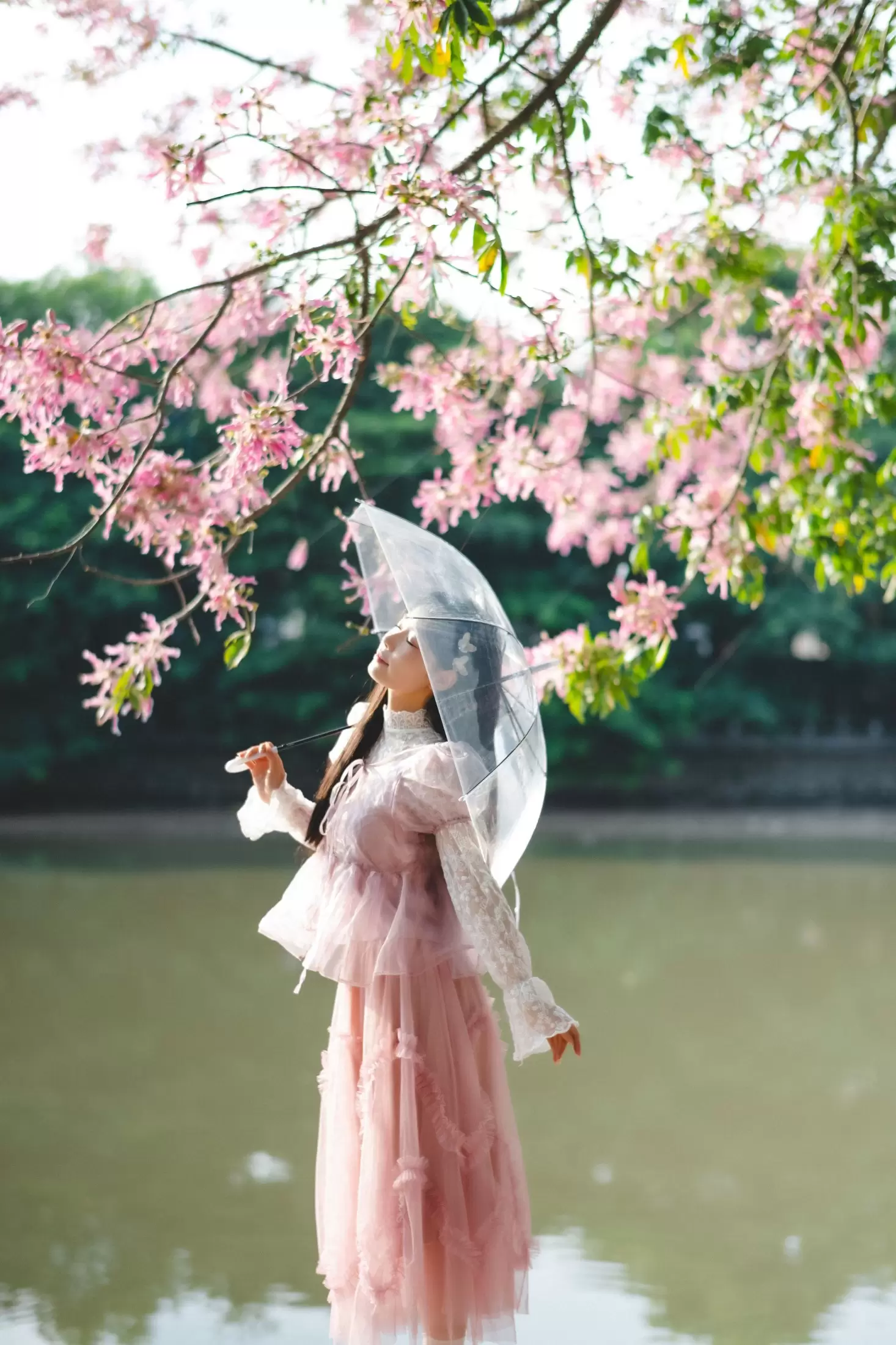 南伊 – 《花样年华》[22P] - 秀人网免费无水印在线套图写真