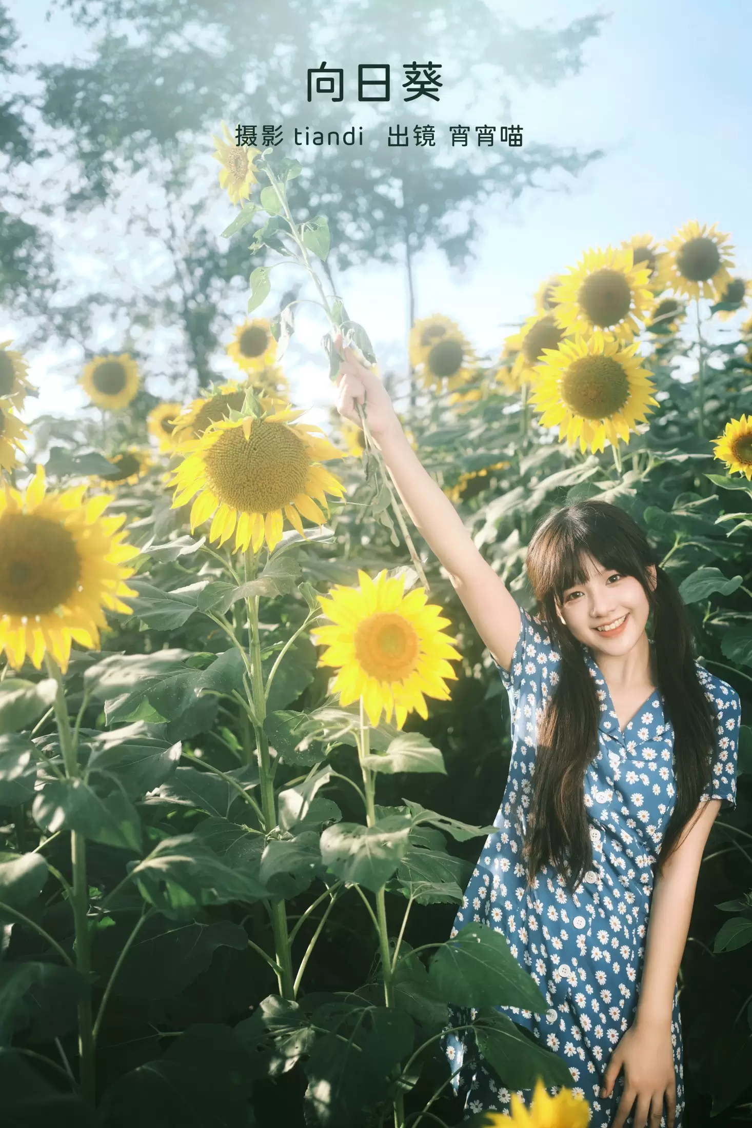 宵宵喵 – 《向日葵》[28P] - 秀人网免费无水印在线套图写真