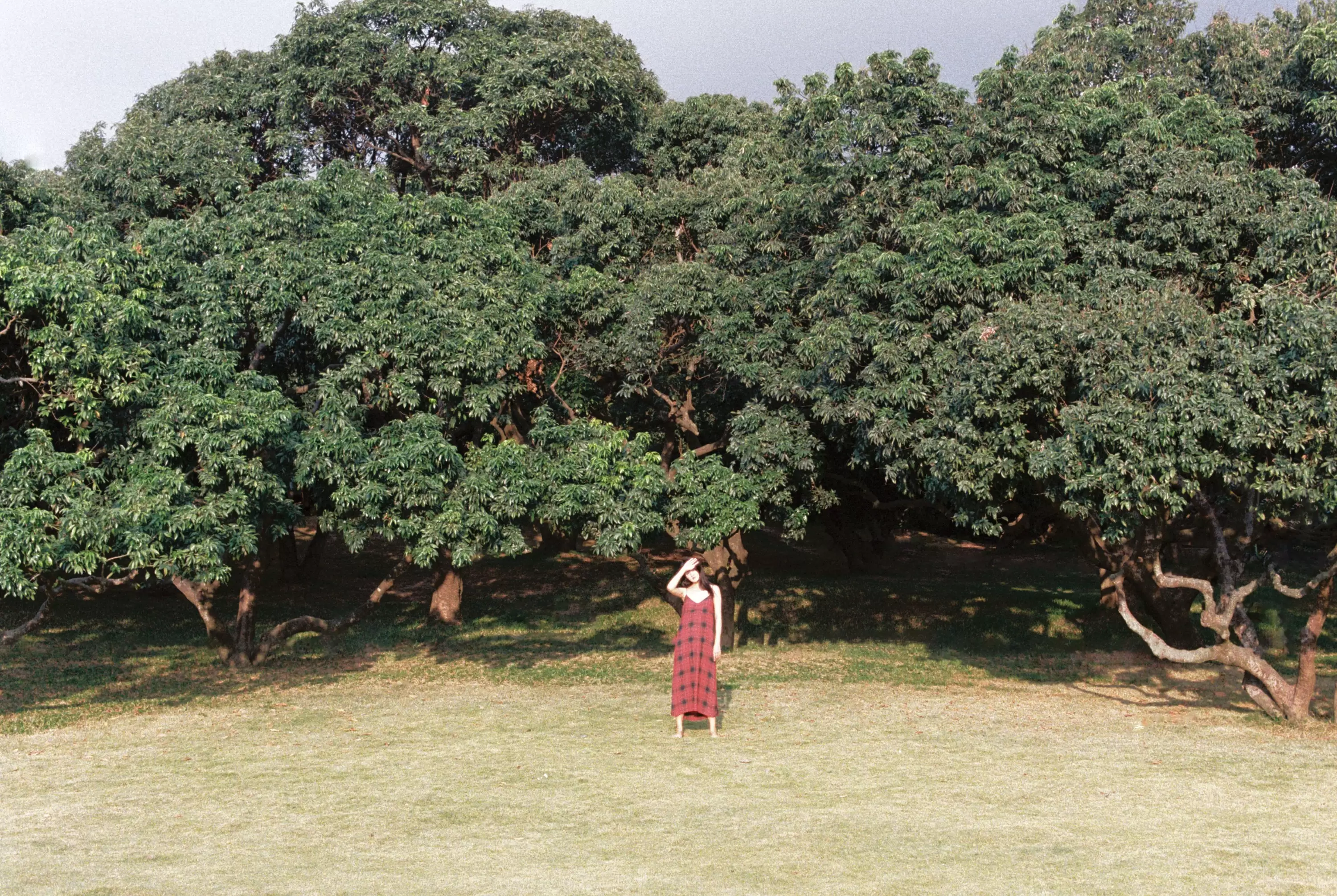 雪莉 – 《11月结束之前》[25P] - 秀人网免费无水印在线套图写真