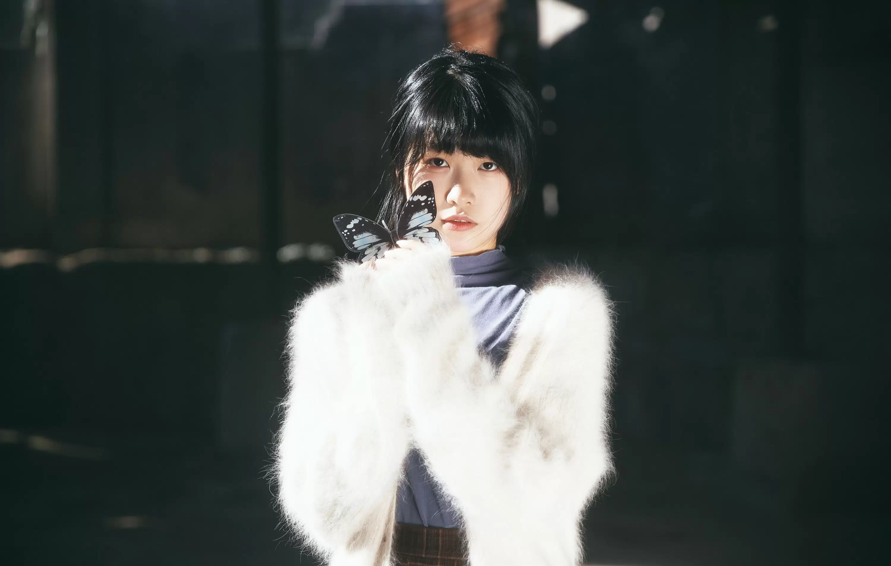 素以兔兔兔 – 《燕尾蝶》[37P] - 秀人网免费无水印在线套图写真