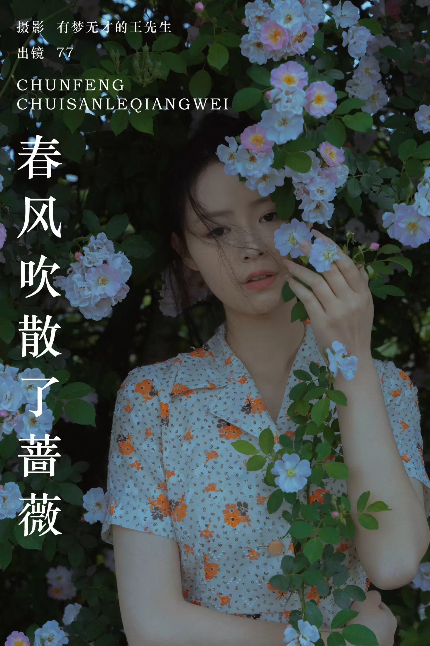 77 – 《春风吹散了蔷薇》[29P] - 秀人网免费无水印在线套图写真