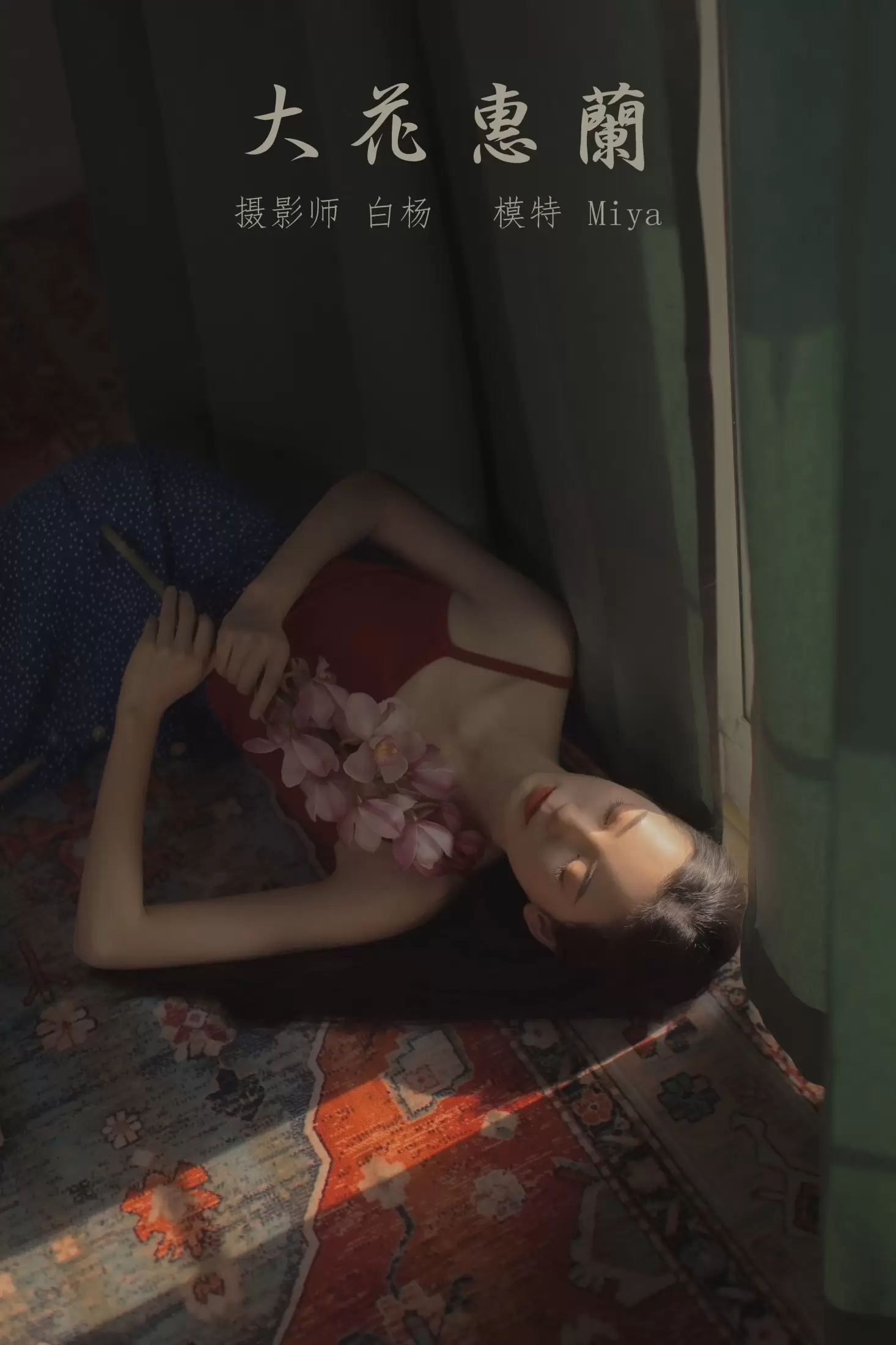 Miya怡君 – 《大花蕙兰》[24P] - 秀人网免费无水印在线套图写真