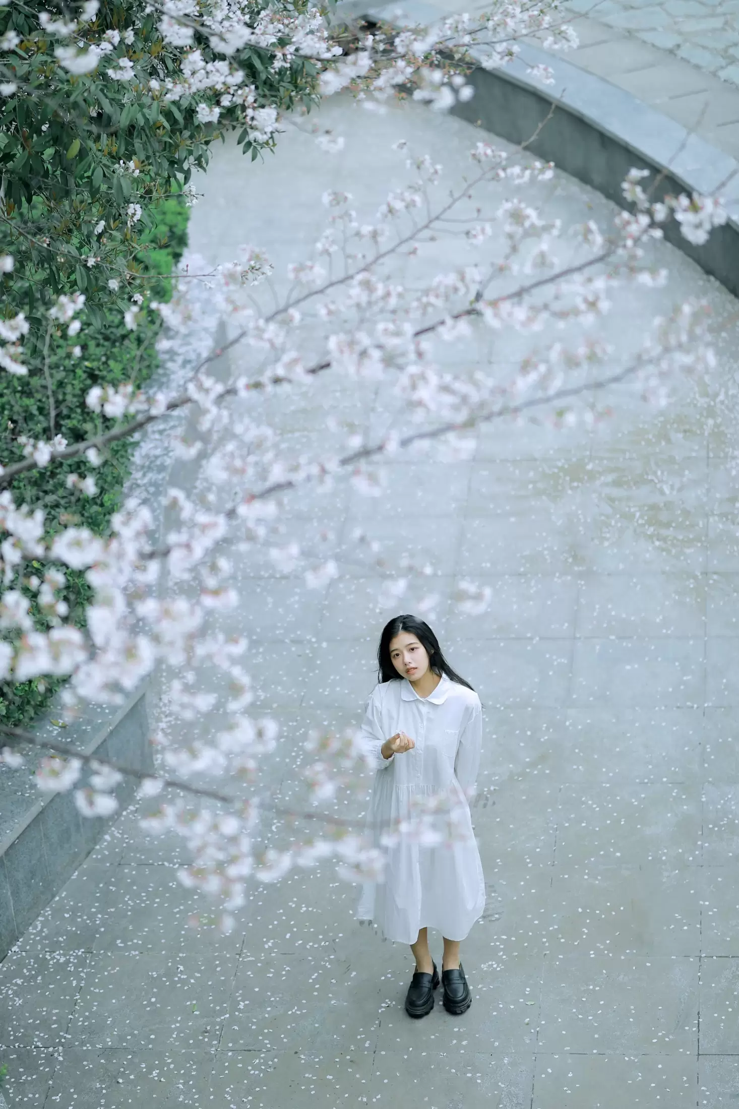 龙星儿 – 《樱花少女》[30P] - 秀人网免费无水印在线套图写真