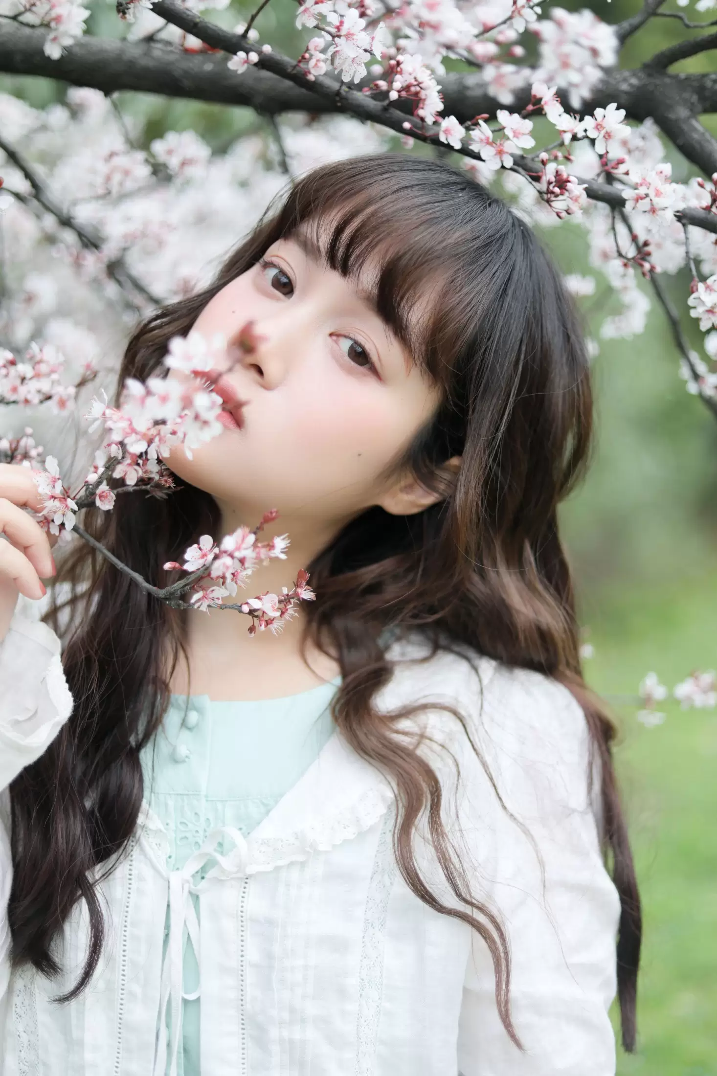 一颗虫牙 – 《春日序曲》[36P] - 秀人网免费无水印在线套图写真