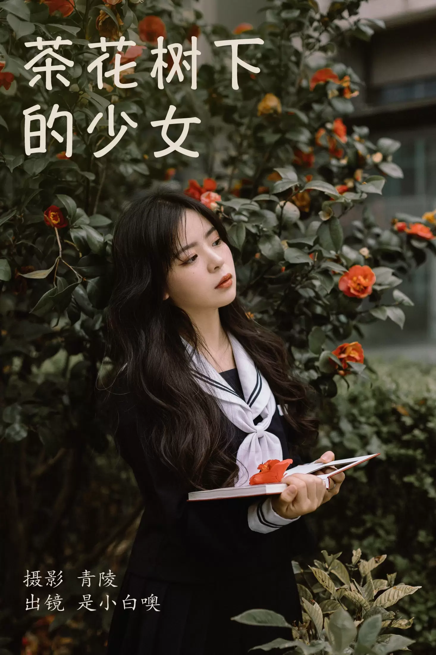 是小白噢 – 《茶花树下的少女》[26P] - 秀人网免费无水印在线套图写真