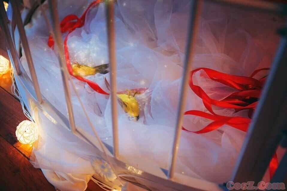 金丝囚鸟与凤凰雀鸟一生都想囚禁在囚笼之中！