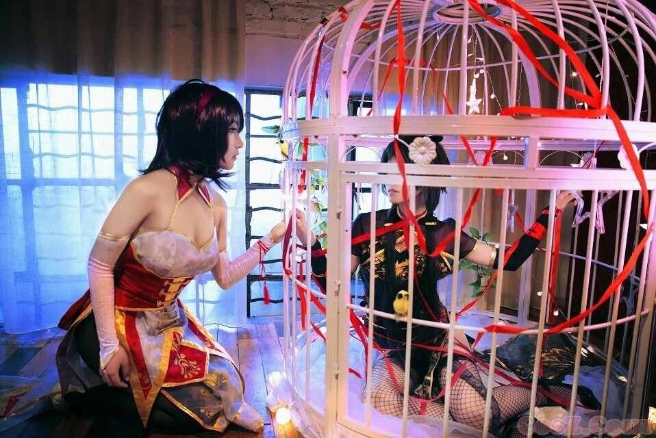 金丝囚鸟与凤凰雀鸟一生都想囚禁在囚笼之中！